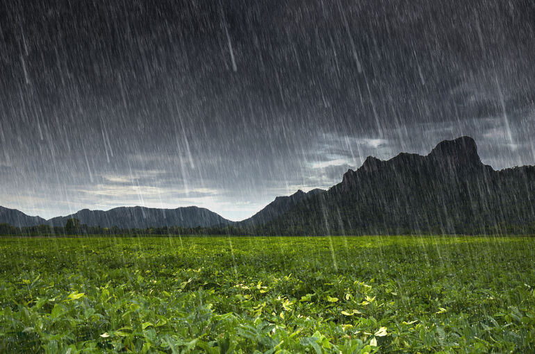 雨